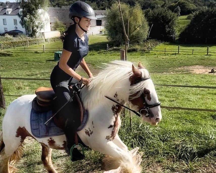 House - Mare&filly Accommodatie bij particulieren