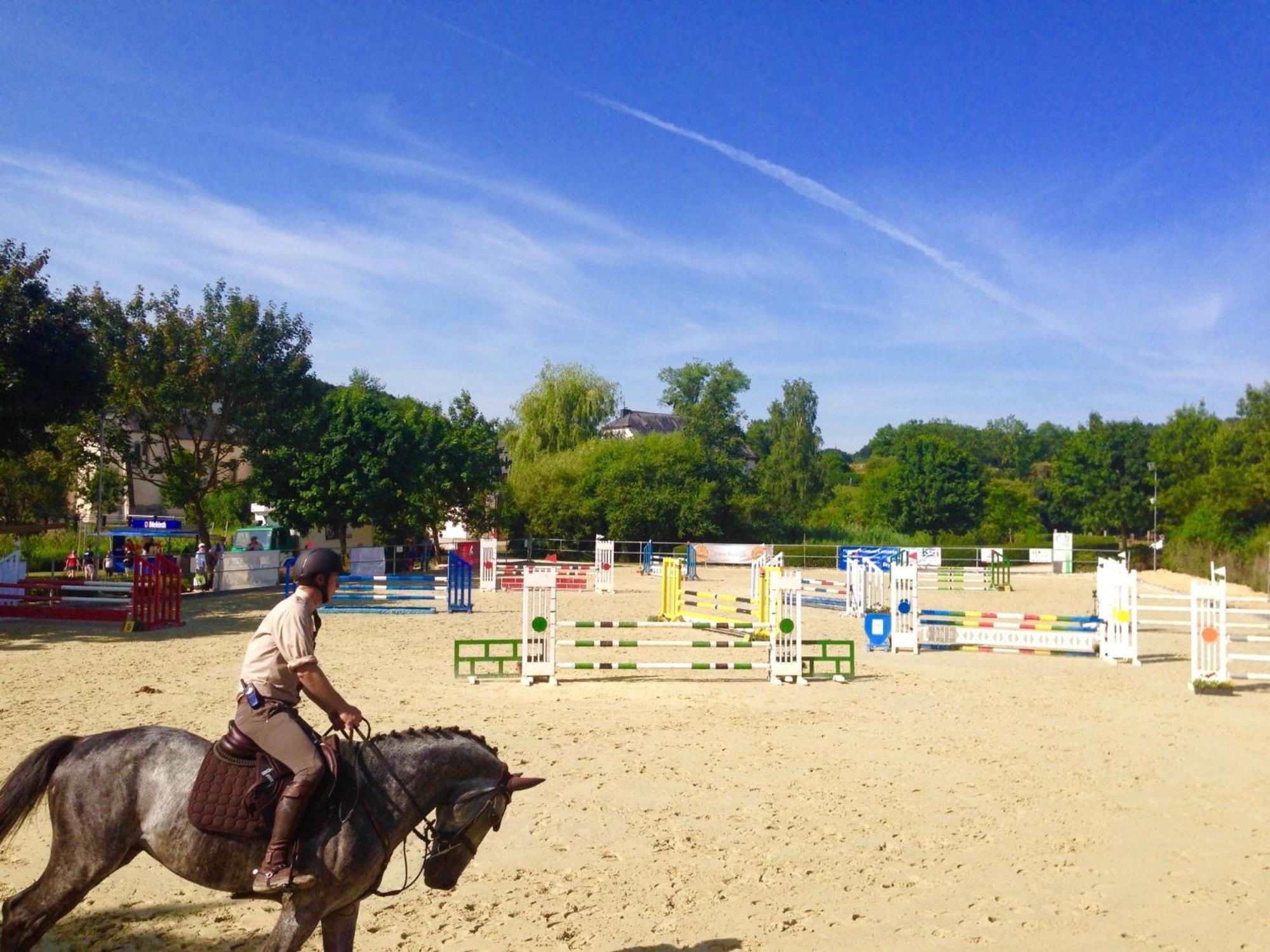 Homestay House - Mare&filly Weyer